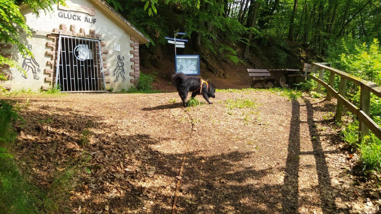 Ferienwohnung Zum Maerchenwald Bergfreiheit エクステリア 写真
